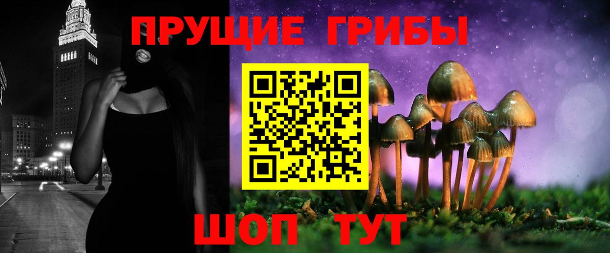 Заводоуковск  Галлюциногенные грибы Psilocybe  Вход с VPN 